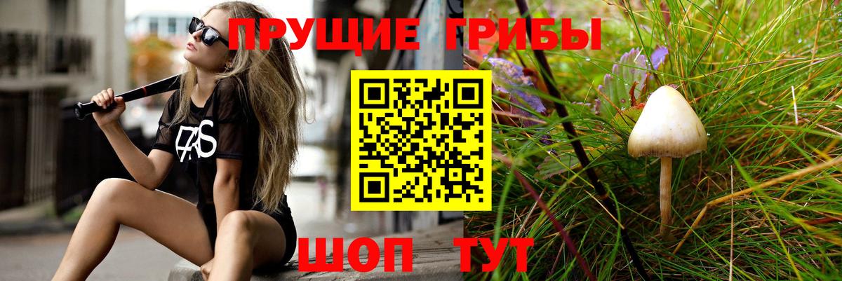 Петрозаводск  Псилоцибиновые грибы GOLDEN TEACHER  Галлюциногенные грибы Psilocybine cubensis  Вход с VPN 
