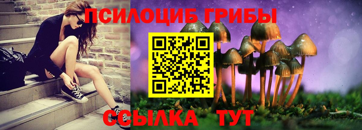 Псилоцибиновые грибы мухоморы Петрозаводск